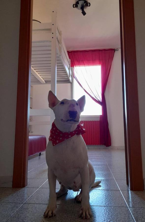 Bologna Homestay Bagian luar foto